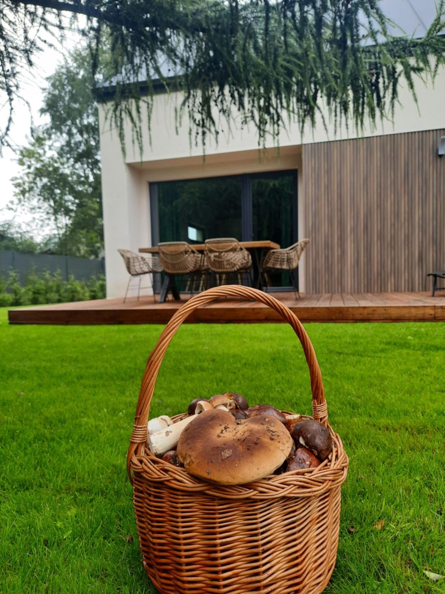 Sosnowe Zacisze Villa Sasino Dış mekan fotoğraf