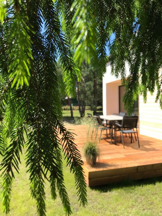 Sosnowe Zacisze Villa Sasino Dış mekan fotoğraf